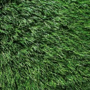 30mm Çağla Soft Çim Halı